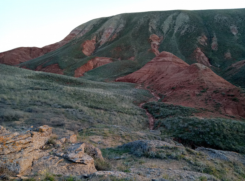 P80421-192436.jpg